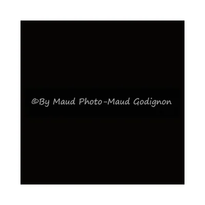 Maud photographe